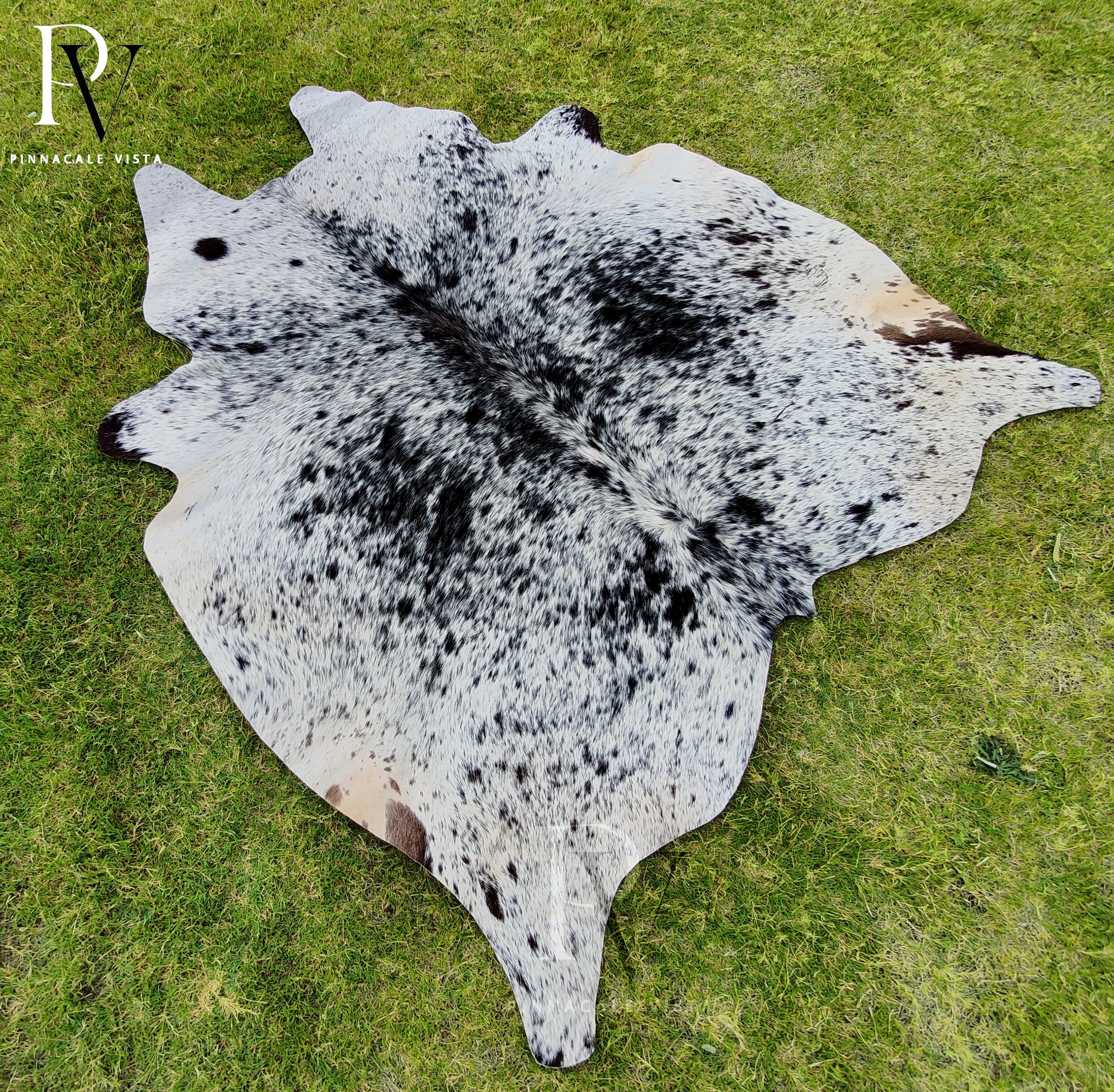 EXOTIC Brazilian Tricolor Cowhide Rug – Genuine Hair-On Leather Area Carpet | 5.9x4.7 ft Cowskin Floor Rug | Natural Home Décor by Pinnacale Vista