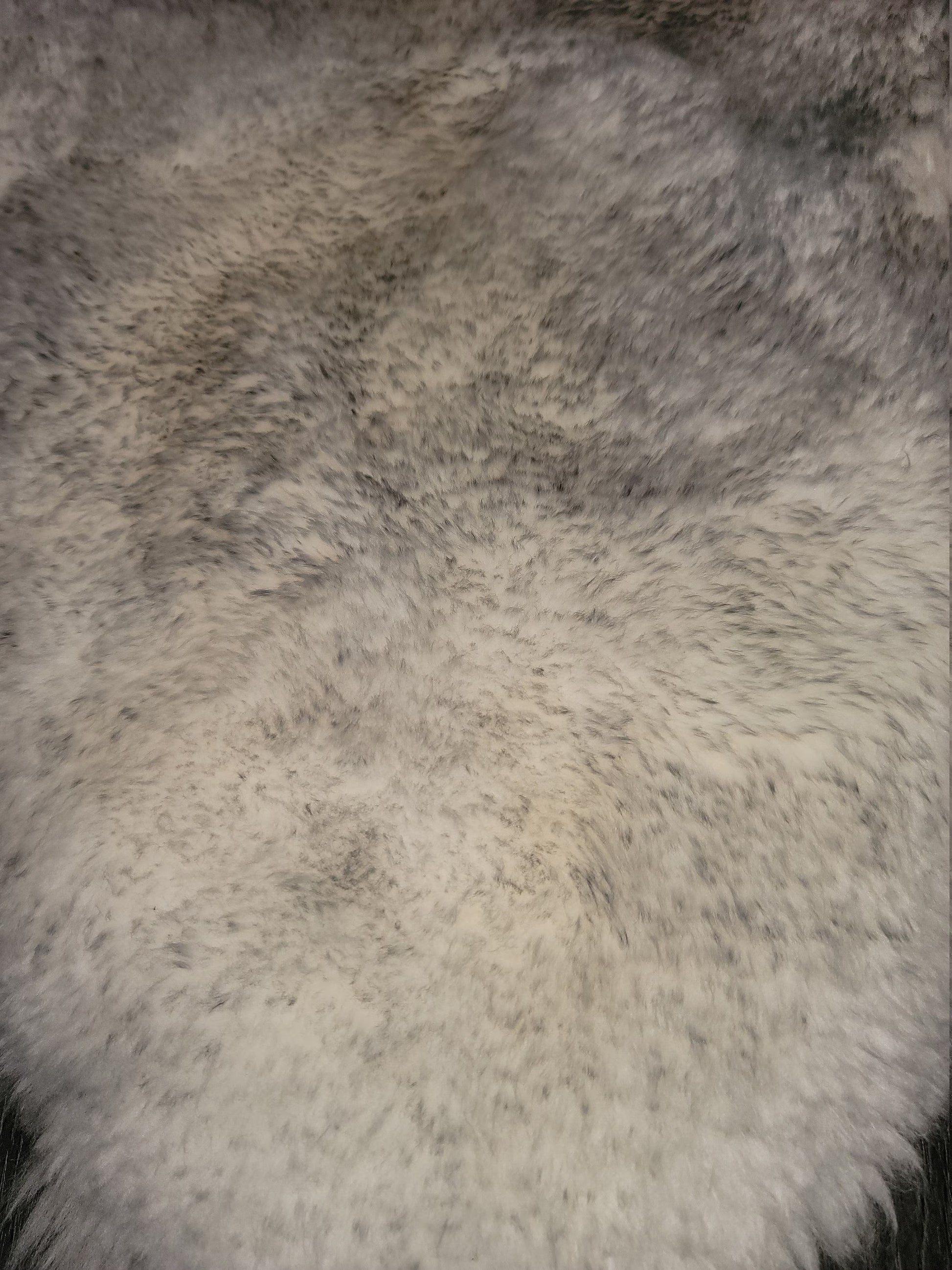 Premium Quad Australian Sheepskin Rug 4x6 | Genuine Fluffy Natural Ivory Gray White – PinnacleVista