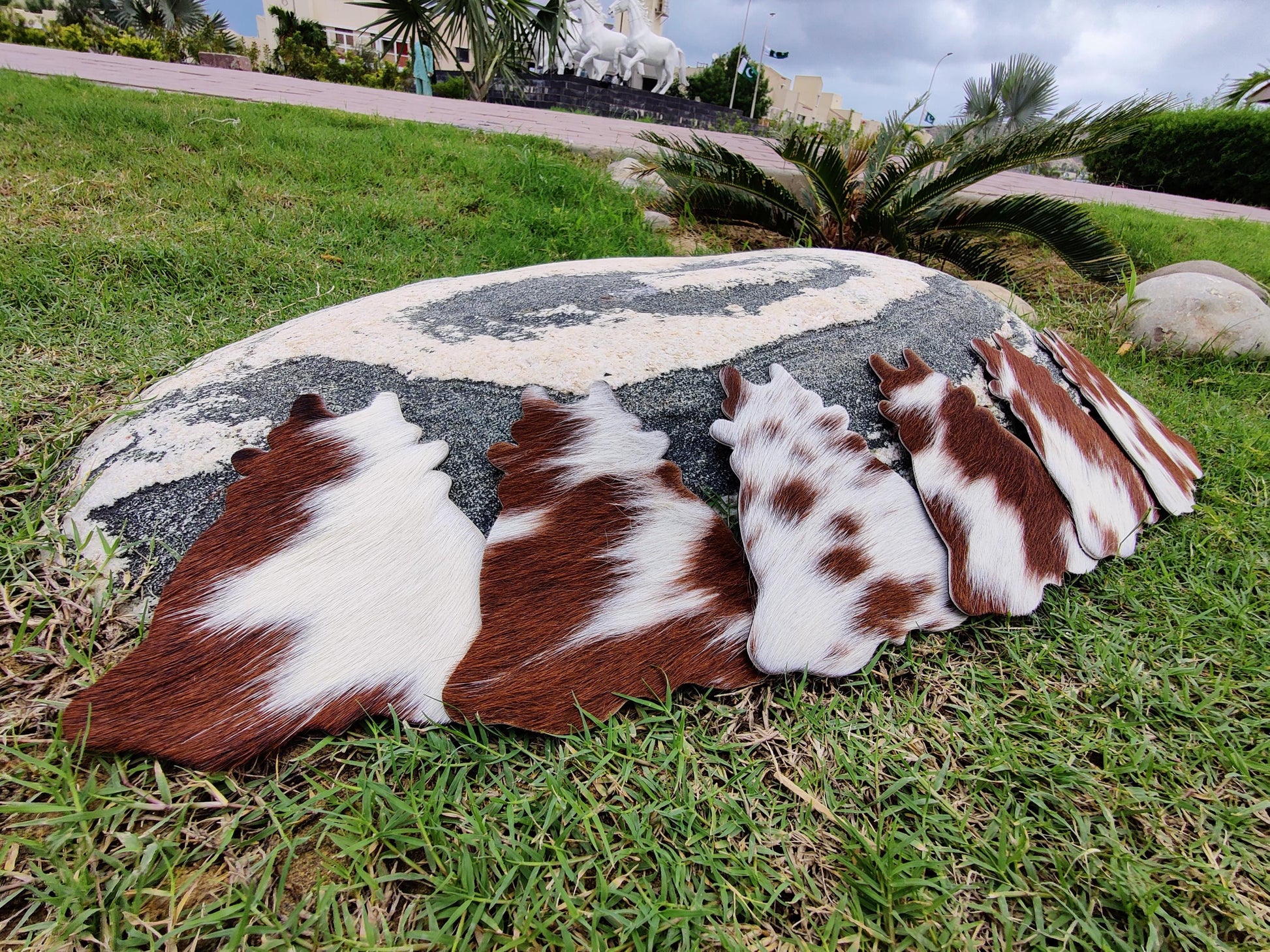 Western Cowhide Leather Coaster Set – Round, Durable, Unique