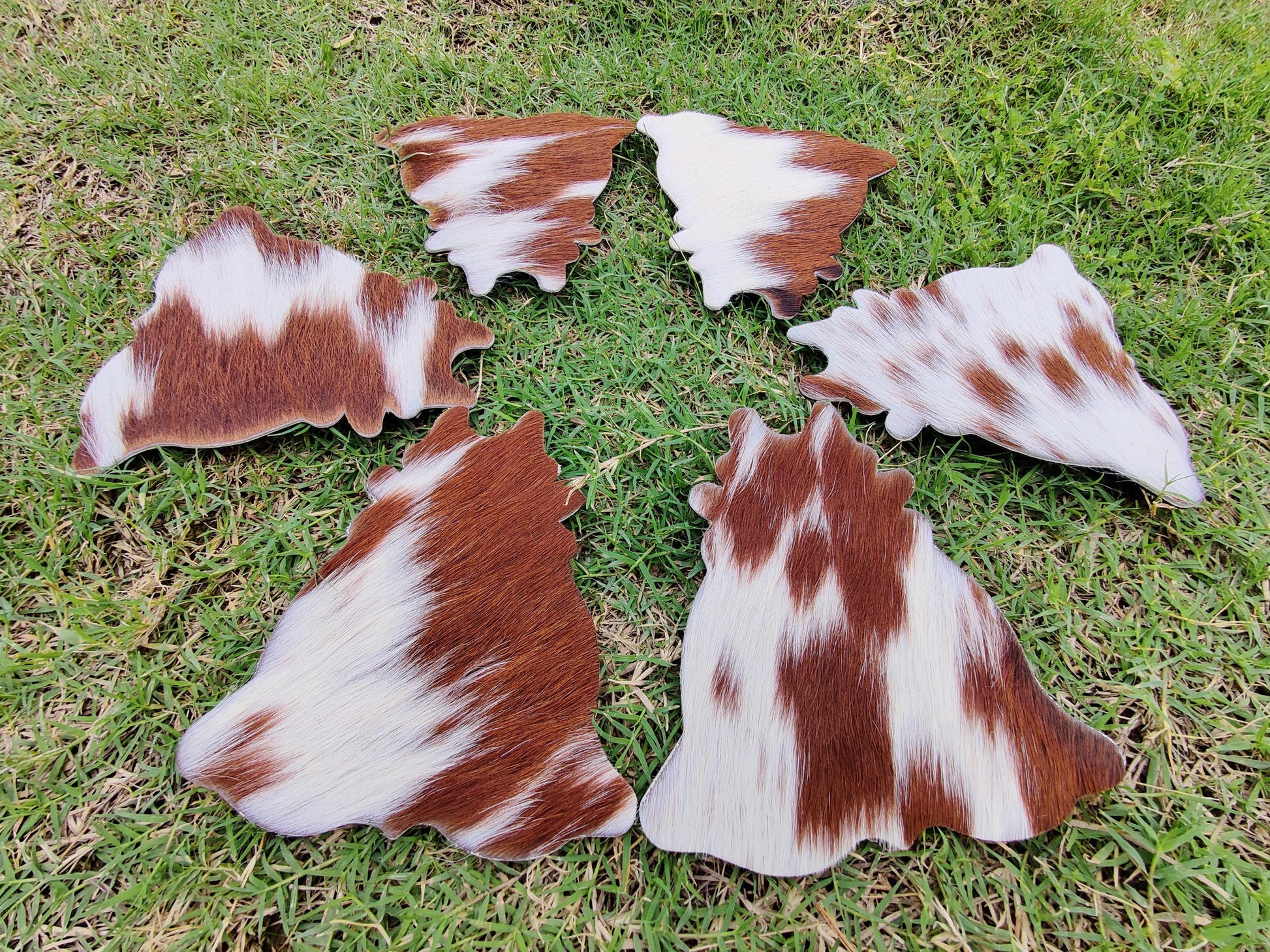 Western Cowhide Leather Coaster Set – Round, Durable, Unique