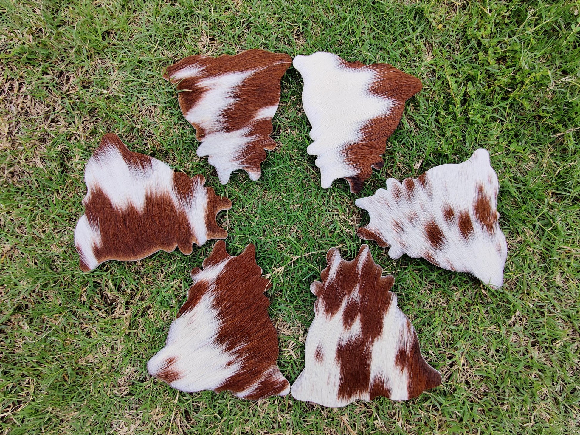 Western Cowhide Leather Coaster Set – Round, Durable, Unique
